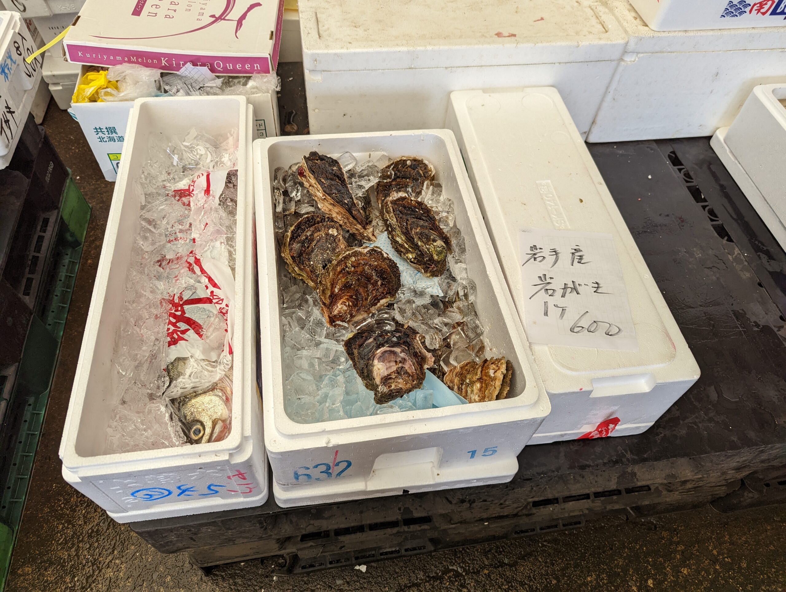 ゆるポタ 土浦魚市場