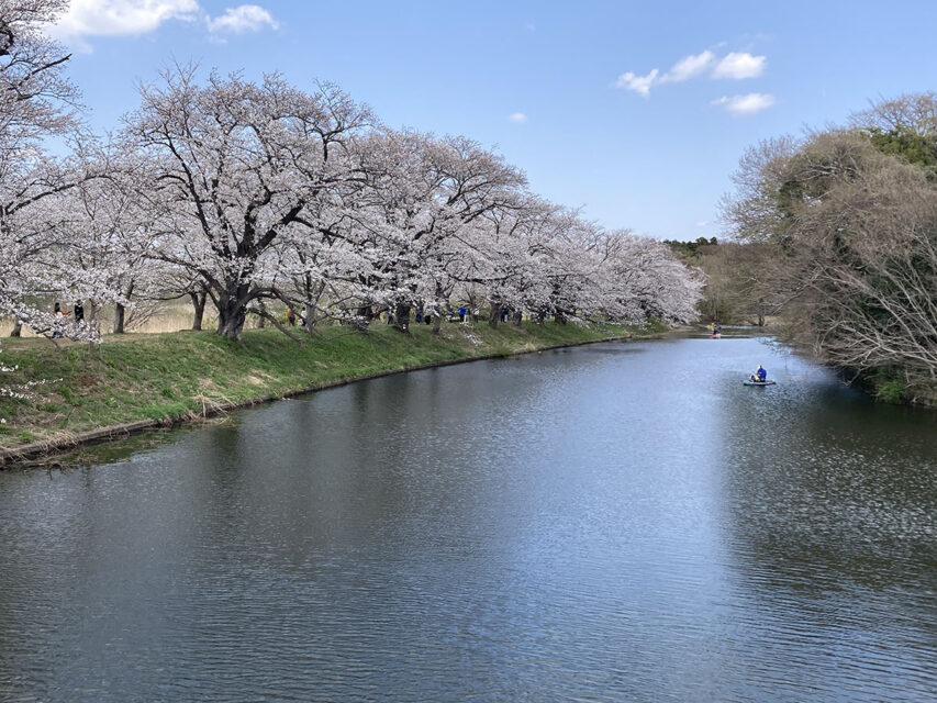 うしくでゆるポタ！第３７回「1.8kmの桜並木　福岡堰でお花見ポタ！」編に行ってきました！
